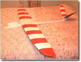 Pike Mini is Delivered with two Nose Cones-Electric and Glider